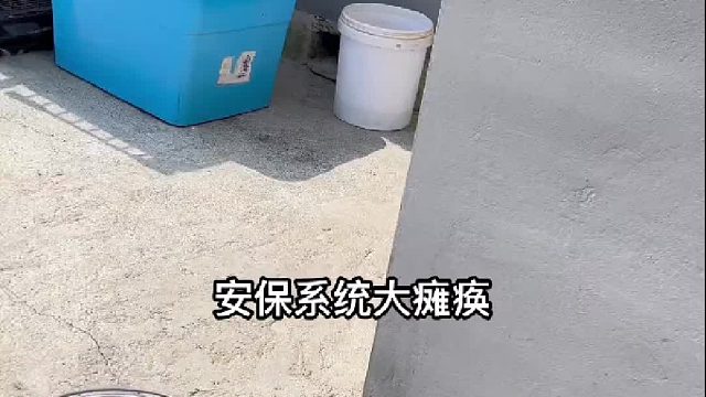 安保系统集体大瘫痪