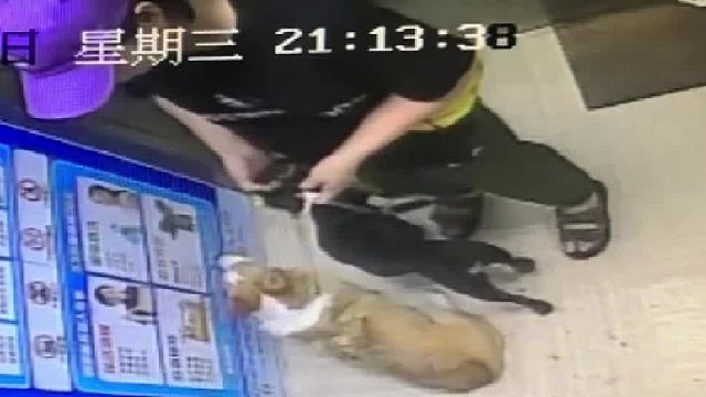 电梯突袭，吓死我了真的