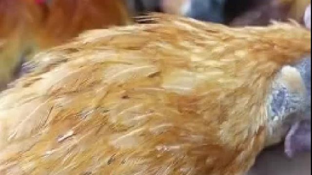 我发布了一个新视频，快来围观吧！