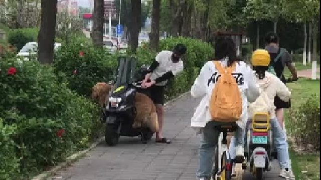 捡了芝麻丢了西瓜，这说明同时带两个孩子真的蛮崩溃的