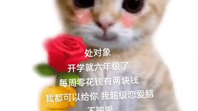 每周都有两块钱的零花钱我可以都给你请你和我处对象吧