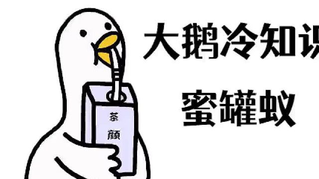 这是一种勤劳的蚂蚁，也是一种爆浆糖果