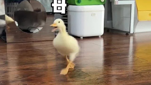 女朋友？不存在的