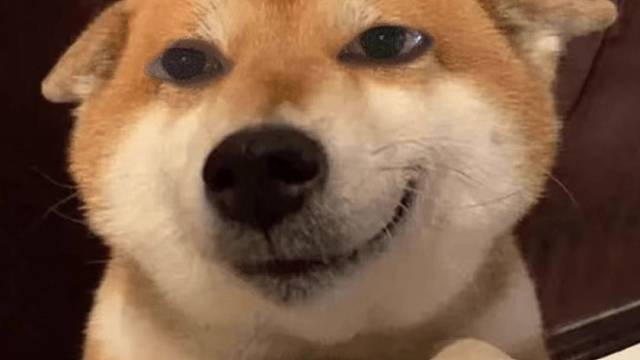 出去丸两天，别太想我
