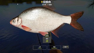 18圖梅湖漁夫–星銀鯛，就剩萬(wàn)惡的無(wú)鱗了。一小時(shí)解決，梅湖銀鯛這么好的口真是少見(jiàn)。