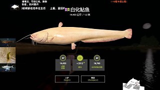 28圖阿赫?qǐng)D巴–白化鯰魚(yú)圖鑒，心心念念，直接做標(biāo)本。
