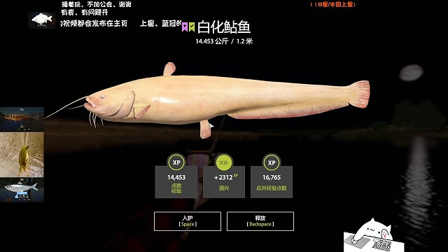 28图阿赫图巴–白化鲶鱼图鉴，心心念念，直接做标本。