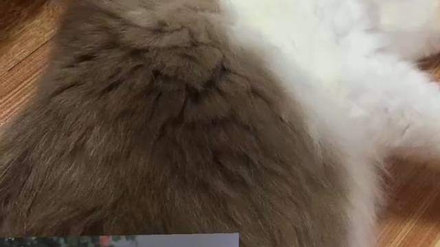 我是不是有大病？