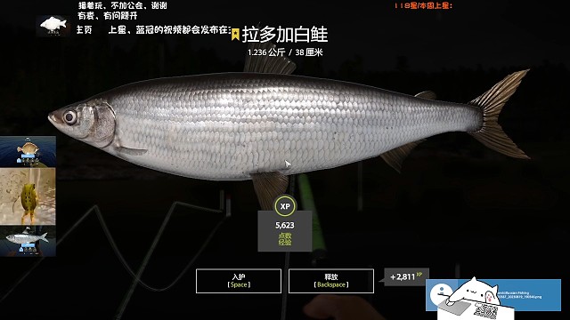 26图-拉多加白鲑(119星)，27图开图十几条下饭，昨天换头像，今天白猪，星白鲑，星猪，还得是～