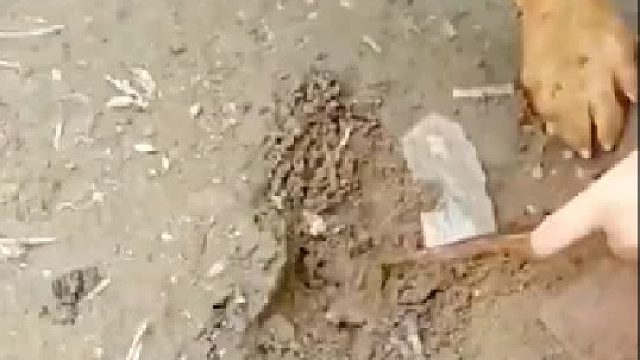 埋地下不会坏吗？