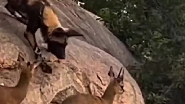 弱者每天在危机中渡过。