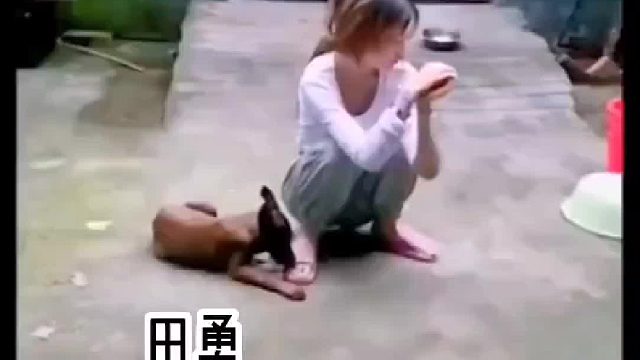 田勇跟你多大的仇