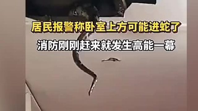 有大就有小，你猜猜小的在哪