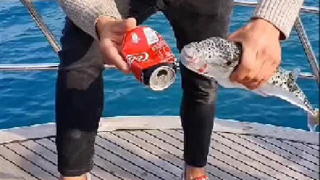 有了这条鱼，剪刀都不用买了