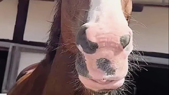 有没有像我一样，不自觉的也卷了一下舌头