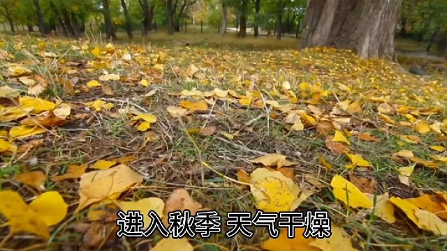 立秋了以后老是咳嗽，喉咙里有痰，到底该怎么办呢？