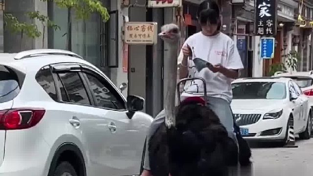 新时代的出行方式！