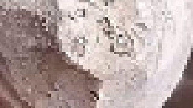 你小子可真够猖狂的啊