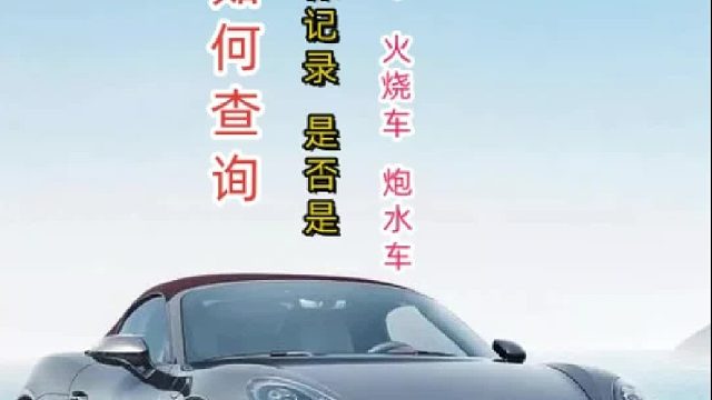 维保记录查询#维保记录#火烧车#泡水车