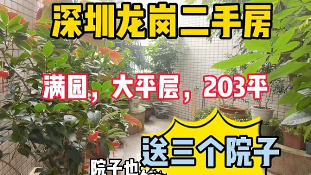 深圳龙岗满园二手房，送有院子，房产证203平，实得300平#华致信地产#二手房#深圳龙岗二手房