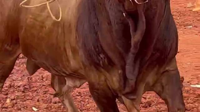 民簇风情娱乐斗牛平远魅力小镇