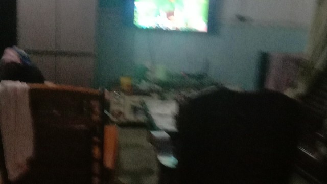 蛋仔派对新主播