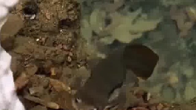 当你凝望深渊的时候，深渊也在凝望着你