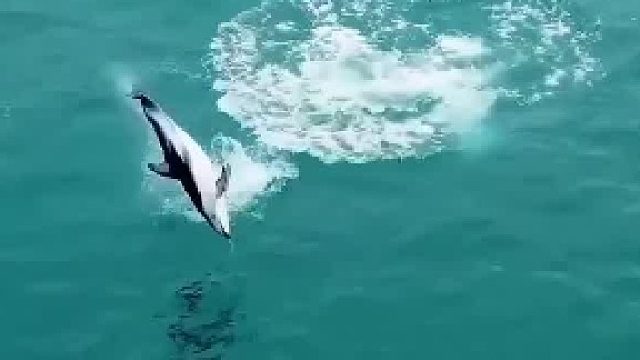 就你搞特殊是吧