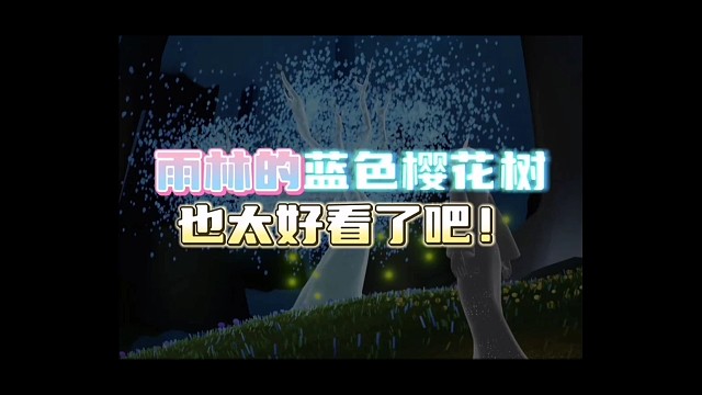 七夕活动开启了！雨林的蓝色樱花树也太好看了吧！