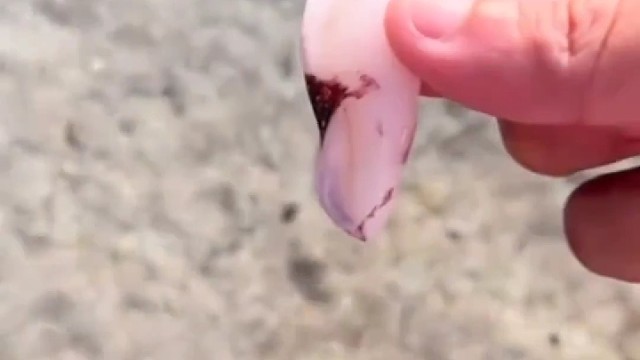 水底隐藏捕食者，太可怕了