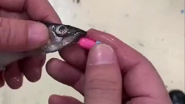 哈哈哈哈哈，我竟然觉得它很可爱！！！