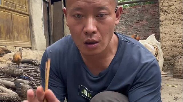 鸡：让你说鹰语