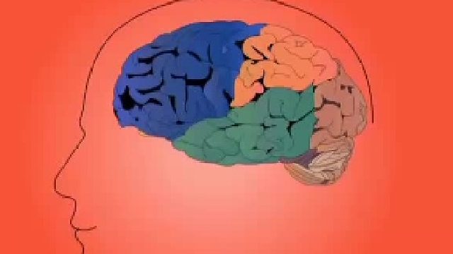 中医认为的脑鸣