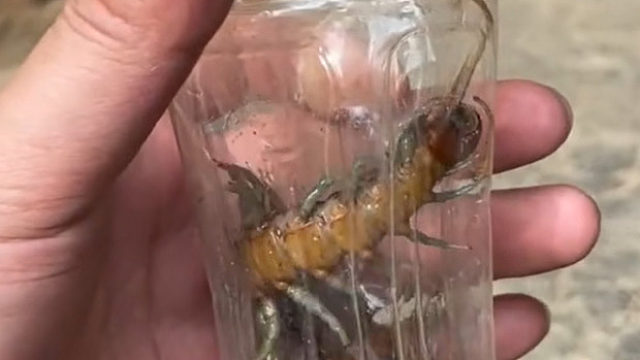 表舅跟我说喝了这酒身上就关节不疼了