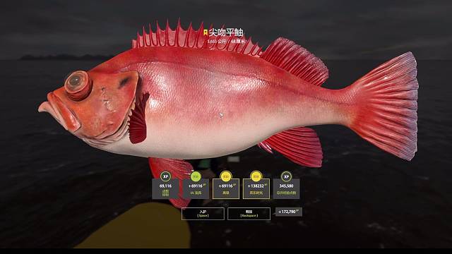 它它它又来了超轻绝对