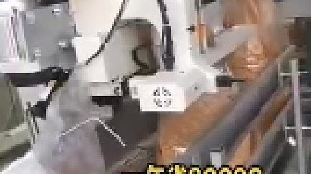 全自动种子包装机生产厂家