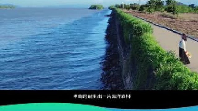 好赞广东—《白鹭先生的来信》