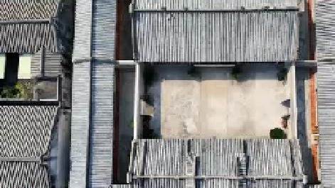 好赞广东—《新会葵艺》