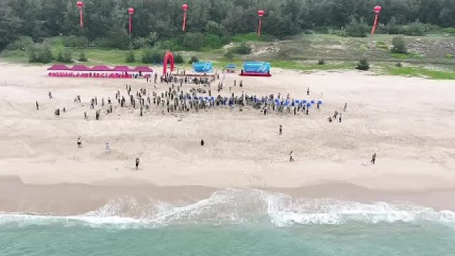 好赞广东——《800只人工繁育海龟集中放流》