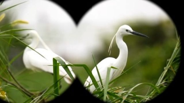 好赞广东—《世外桃源》