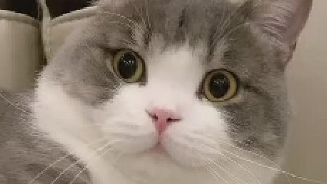 痛吗，宝贝儿？