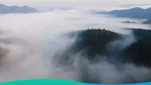 好赞广东—《水清万物生》