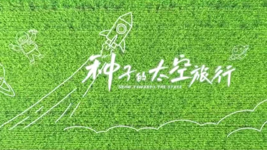 好赞广东—《种子的太空旅行》
