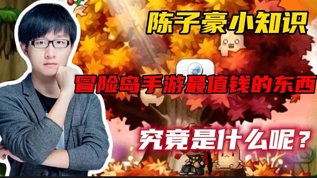 #冒险岛：枫之传说【冒险岛手游】冒险岛手游最值钱的东西究竟是什么呢？