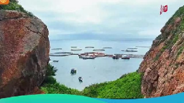 好赞广东—《惠州“蓝色粮仓”》