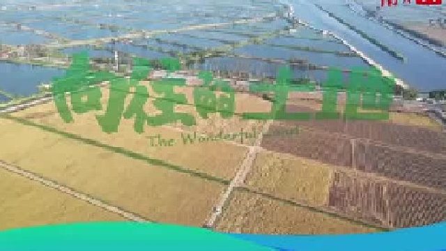 好赞广东—《【“兔”飞猛进活力湾区】向往的土地》