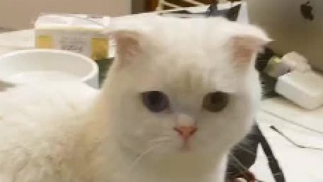 穿上情侣装就很nice