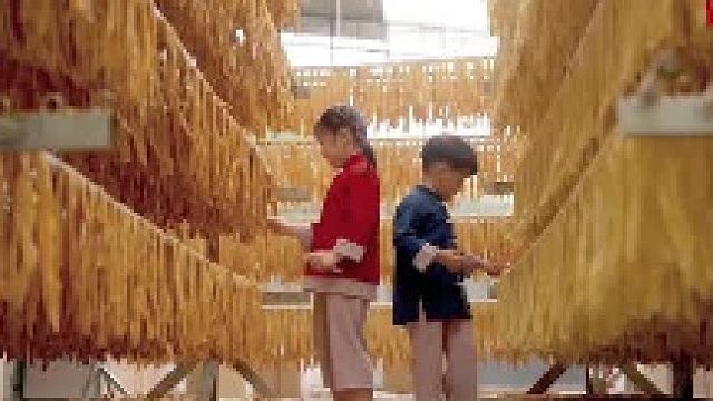 好赞广东—《广东新气象●河源白佛腐竹专业村》