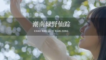 好赞广东—《返乡养殖潮汕狮头鹅—记录美丽乡村》