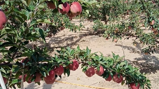 我发布了一个新视频，快来围观吧！